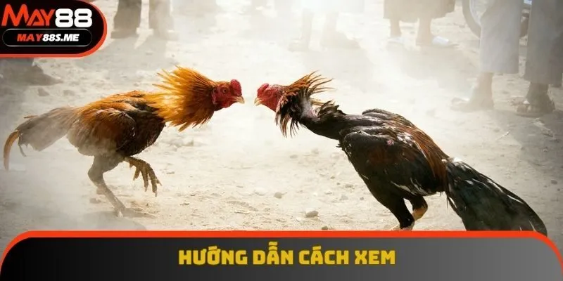 Hướng dẫn cách xem Hướng dẫn cách xem