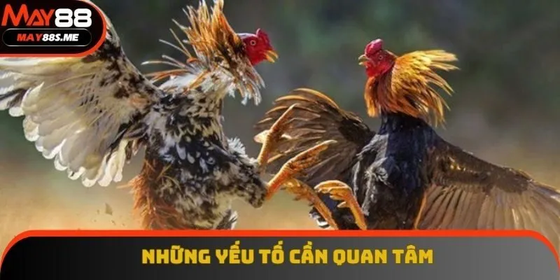 Những yếu tố cần quan tâm Những yếu tố cần quan tâm