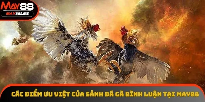 Các điểm ưu việt của sảnh đá gà bình luận tại May88