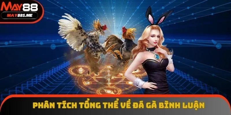 Phân tích tổng thể về đá gà bình luận