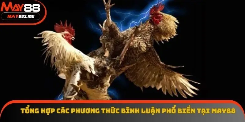 Tổng hợp các phương thức bình luận phổ biến tại May88