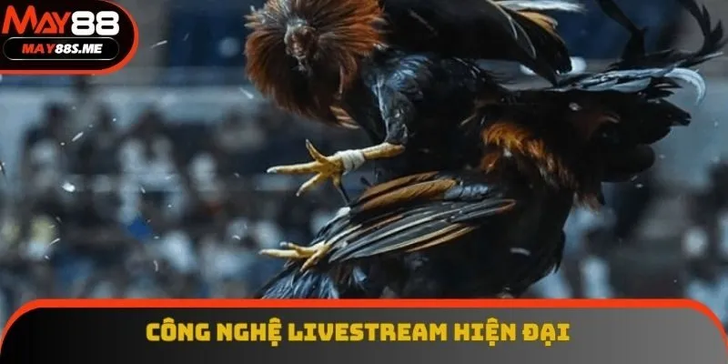 Công nghệ livestream nổi tiếng với độ sắc nét và hiện đại Công nghệ livestream nổi tiếng với độ sắc nét và hiện đại