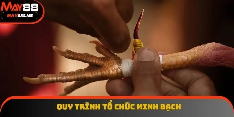 Quy trình tổ chức các trận đấu được cam kết công bằng tuyệt đối Quy trình tổ chức các trận đấu được cam kết công bằng tuyệt đối