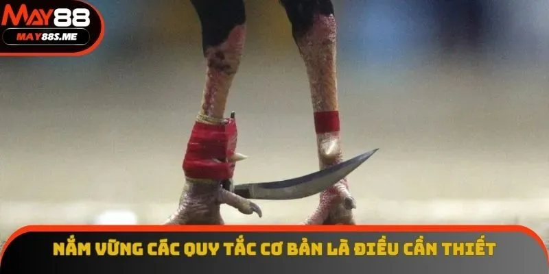 Việc nắm vững các quy tắc cơ bản là điều vô cùng cần thiết Việc nắm vững các quy tắc cơ bản là điều vô cùng cần thiết