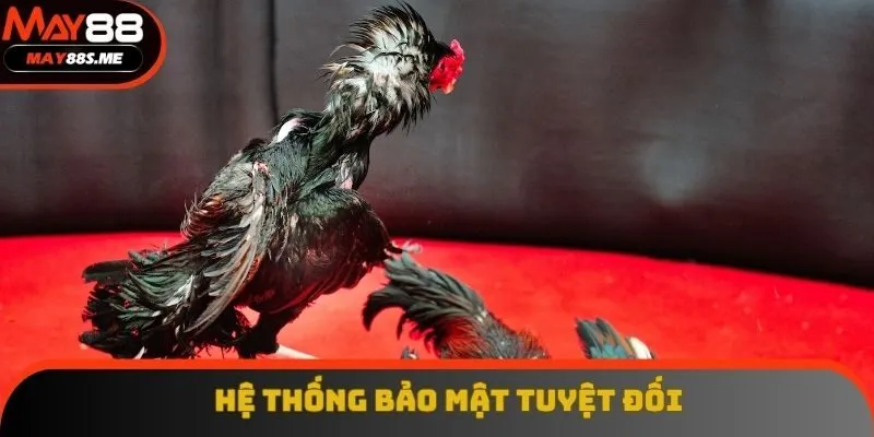 Hệ thống mã hóa SSL của nhà cái tiên tiến, bảo vệ dữ liệu Hệ thống mã hóa SSL của nhà cái tiên tiến, bảo vệ dữ liệu