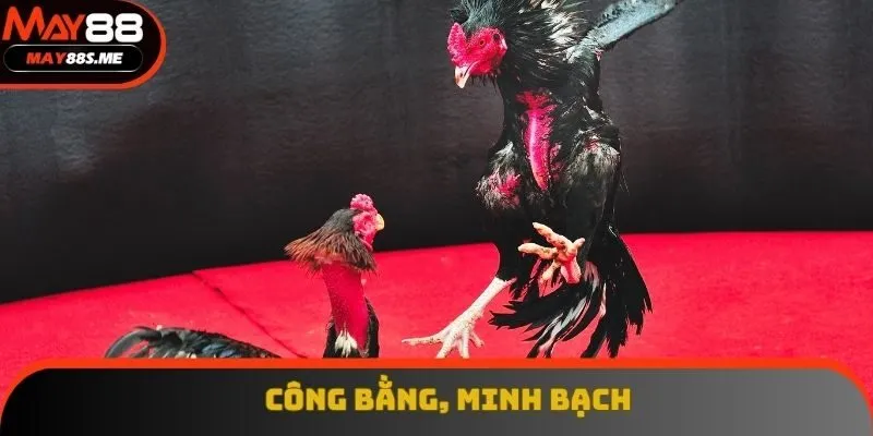 Sảnh cược luôn đảm bảo tính công bằng trong từng trận đấu Sảnh cược luôn đảm bảo tính công bằng trong từng trận đấu