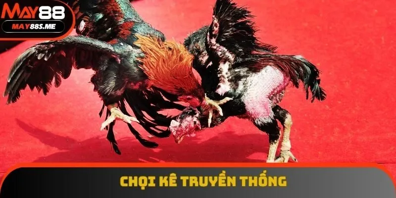 Loại hình chọi kê đồn truyền thống được yêu thích nhiều Loại hình chọi kê đồn truyền thống được yêu thích nhiều