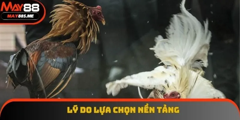 Lý do lựa chọn nền tảng Lý do lựa chọn nền tảng