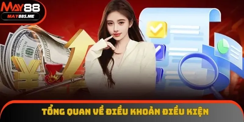 Đôi nét khái quát về điều khoản điều kiện May88