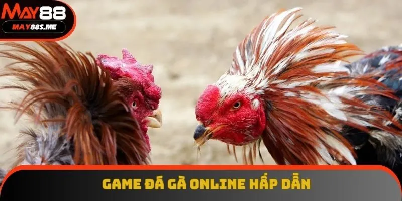 Game Đá Gà Online Xem Trực Tiếp - Đặt Cược Tại Trang Thả Ga