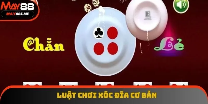 Quy luật cơ bản người chơi cần nắm trong ván cược Quy luật cơ bản người chơi cần nắm trong ván cược